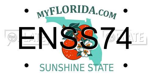 ENSS74 Florida License Plate