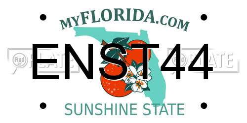 ENST44 Florida License Plate