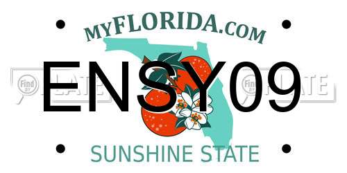 ENSY09 Florida License Plate
