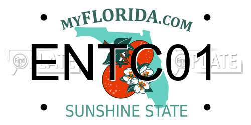 ENTC01 Florida License Plate