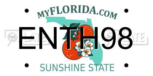 ENTH98 Florida License Plate