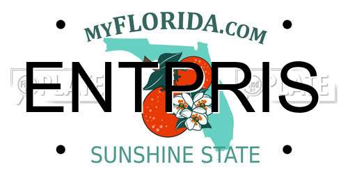 ENTPRIS Florida License Plate