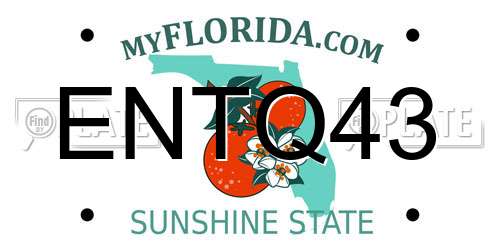 ENTQ43 Florida License Plate