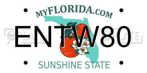 ENTW80 Florida License Plate