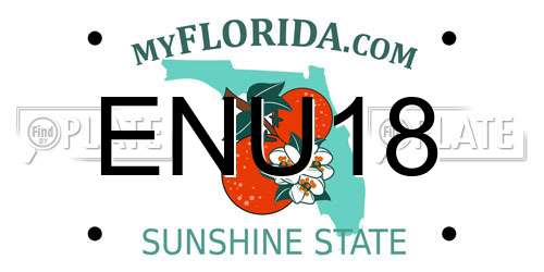 ENU18 Florida License Plate
