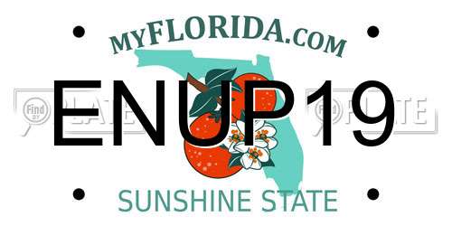 ENUP19 Florida License Plate