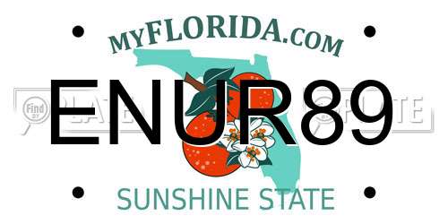 ENUR89 Florida License Plate