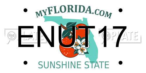 ENUT17 Florida License Plate