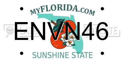 ENVN46 Florida License Plate
