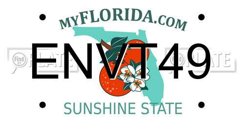 ENVT49 Florida License Plate