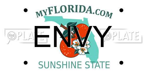 ENVY Florida License Plate