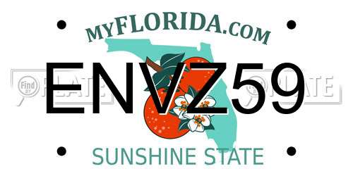 ENVZ59 Florida License Plate