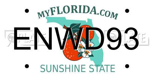 ENWD93 Florida License Plate
