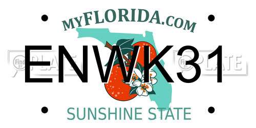 ENWK31 Florida License Plate
