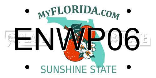 ENWP06 Florida License Plate
