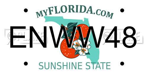 ENWW48 Florida License Plate