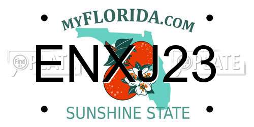 ENXJ23 Florida License Plate