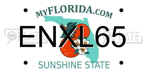 ENXL65 Florida License Plate