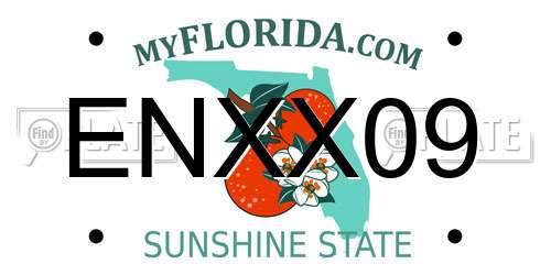 ENXX09 Florida License Plate