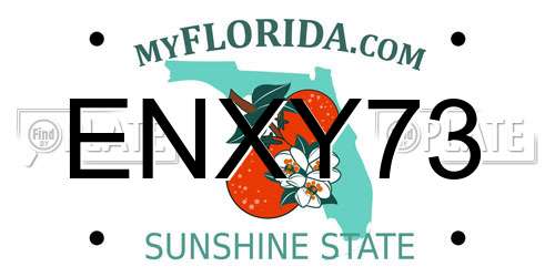 ENXY73 Florida License Plate