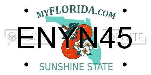 ENYN45 Florida License Plate