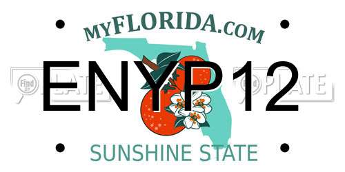 ENYP12 Florida License Plate