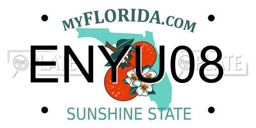 ENYU08 Florida License Plate