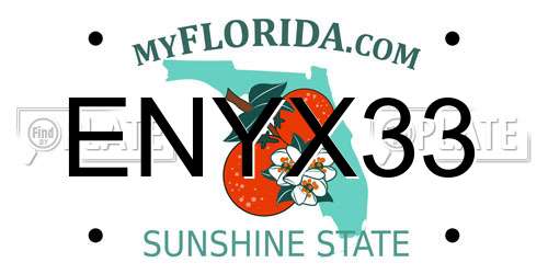 ENYX33 Florida License Plate