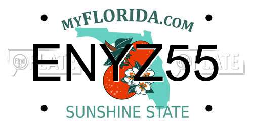ENYZ55 Florida License Plate
