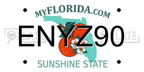 ENYZ90 Florida License Plate