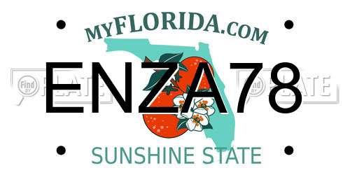 ENZA78 Florida License Plate