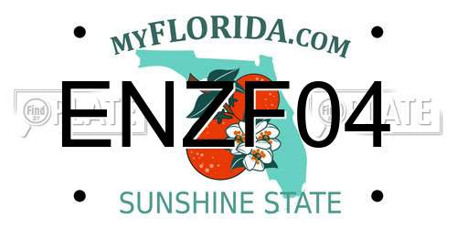 ENZF04 Florida License Plate