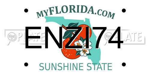 ENZI74 Florida License Plate