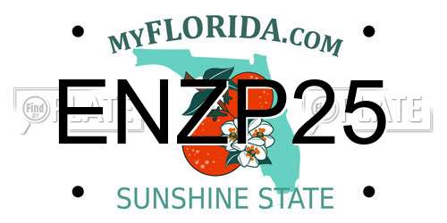 ENZP25 Florida License Plate