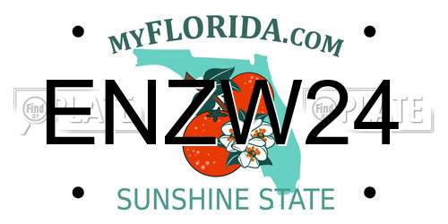ENZW24 Florida License Plate