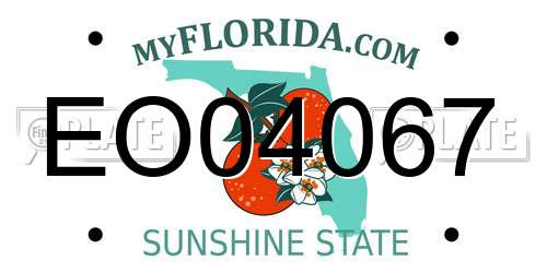 EO04067 Florida License Plate