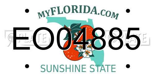 EO04885 Florida License Plate