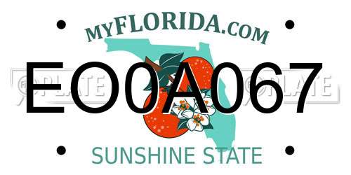 EO0A067 Florida License Plate
