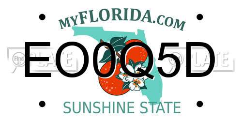 EO0Q5D Florida License Plate