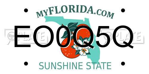 EO0Q5Q Florida License Plate
