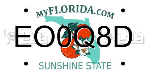 EO0Q8D Florida License Plate