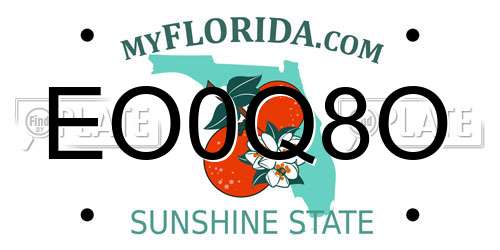 EO0Q8O Florida License Plate