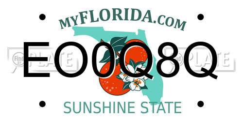 EO0Q8Q Florida License Plate