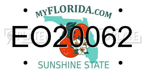 EO20062 Florida License Plate