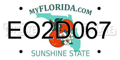 EO2D067 Florida License Plate