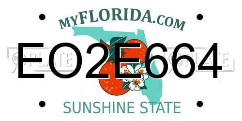 EO2E664 Florida License Plate