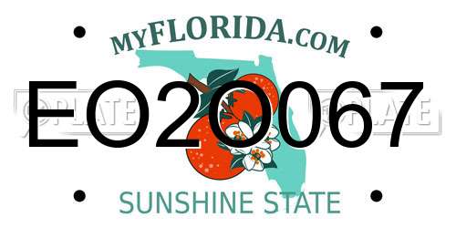 EO2O067 Florida License Plate