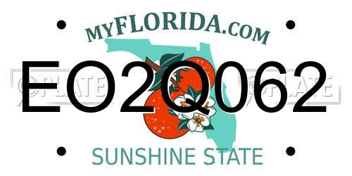 EO2Q062 Florida License Plate