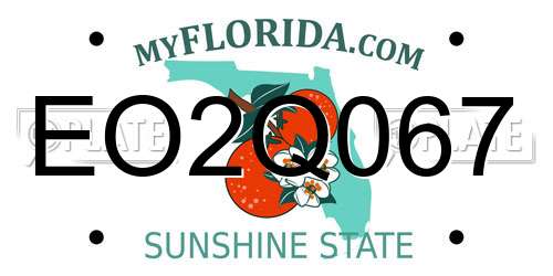 EO2Q067 Florida License Plate