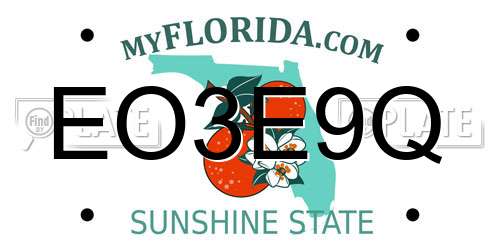 EO3E9Q Florida License Plate